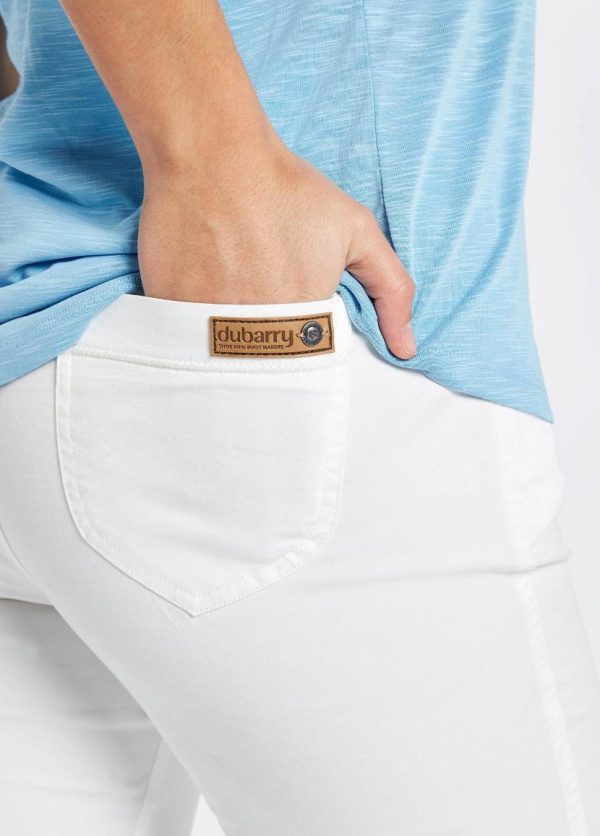 Sageshadow.shop7dda223ad7 5