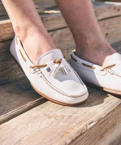 Sageshadow.shop86d8ecbbc0 3