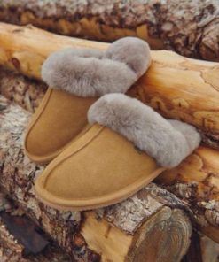 Sageshadow.shop9eb21cf9fb 3